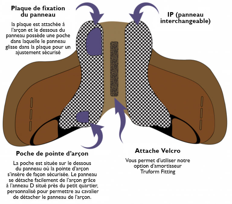 Option IP